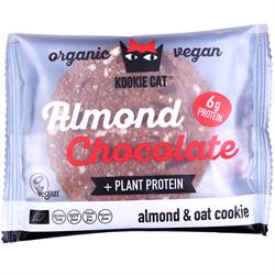 Protein Dark Chocolate Cookie