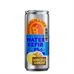 Lemon & Ginger Water Kefir Can