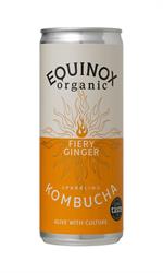 Ginger Kombucha Can