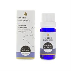 Ginger Essential Oil