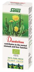 Dandelion Plant Juice