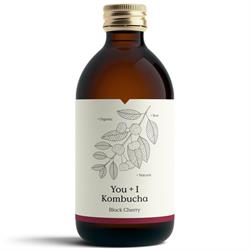 Kombucha - Black Cherry