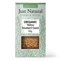 Org Mustard Seed Yellow Box