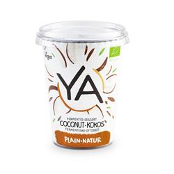 Coconut Plain Dessert