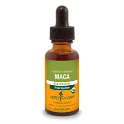 Maca Extract