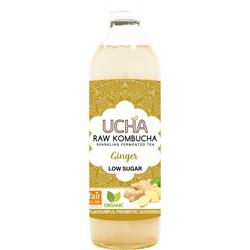 Ucha Kombucha Ginger