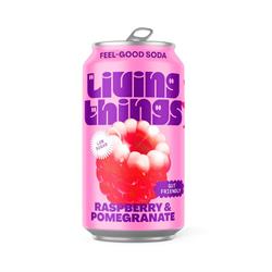 Raspberry & Pomegranate Soda