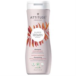 Shampoo Color Protection
