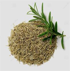 Org Rosemary