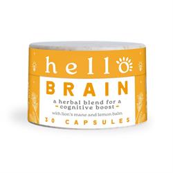 Hello Brain