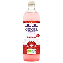 Ginger Beer Hibiscus