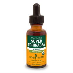 Super Echinacea