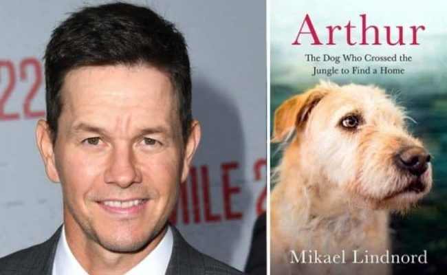 Mark Wahlberg to star in Arthur the King