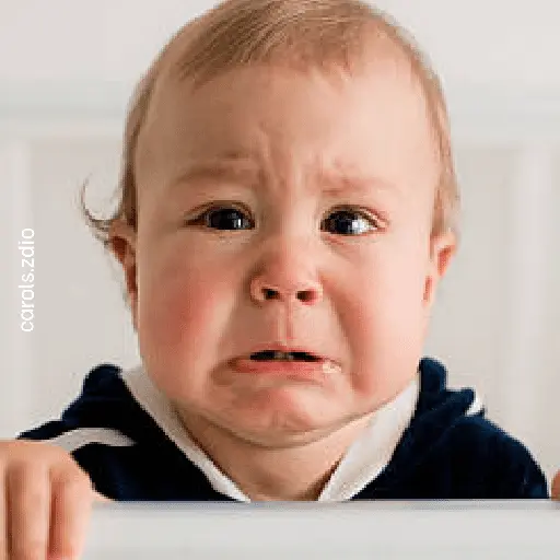stickers_Bebés_llorando_😭👶🏼🍼😭