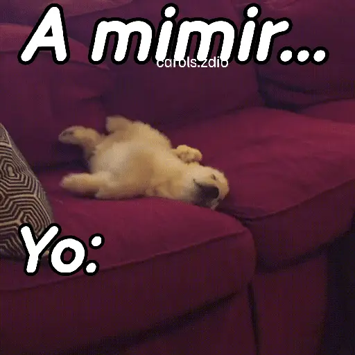 stickers_A_mimir_💤_Perros_🐶😴