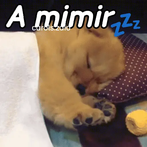 stickers_A_mimir_💤_Perros_🐶😴