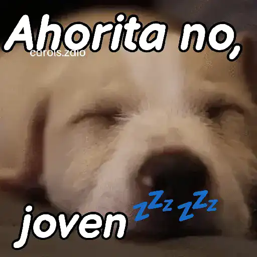 stickers_A_mimir_💤_Perros_🐶😴