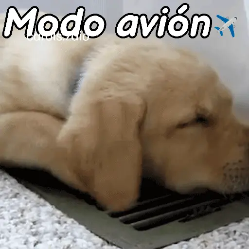 stickers_A_mimir_💤_Perros_🐶😴