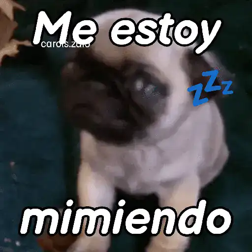 stickers_A_mimir_💤_Perros_🐶😴