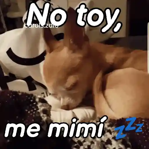 stickers_A_mimir_💤_Perros_🐶😴