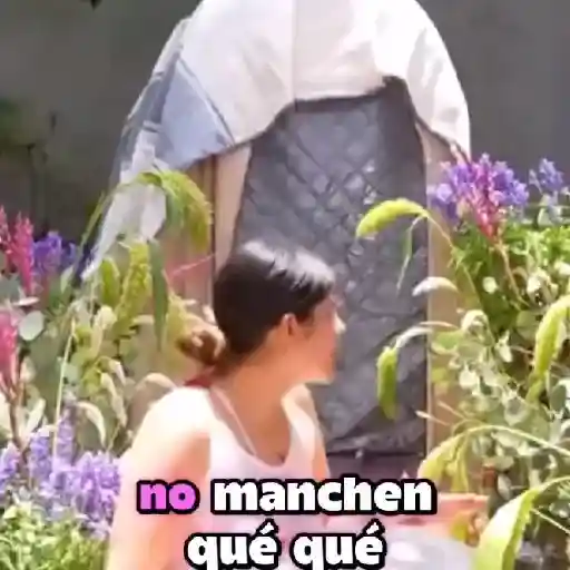 stickers_los_polinesios_