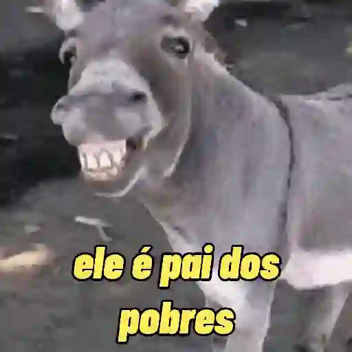 stickers_Memes_zoação_