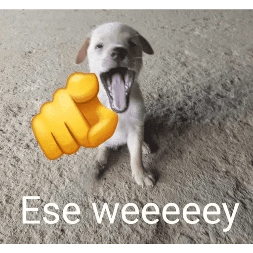 stickers_Busco_Chamba_😈_