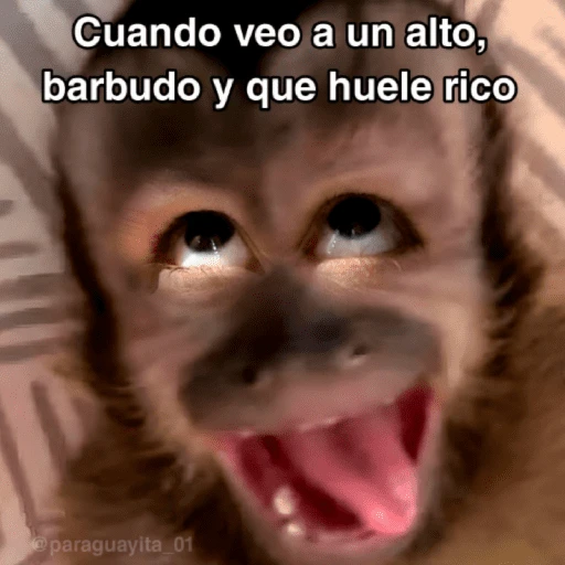 stickers_🙊😜🔥_Funny_Monkey_🔥😜🙊_