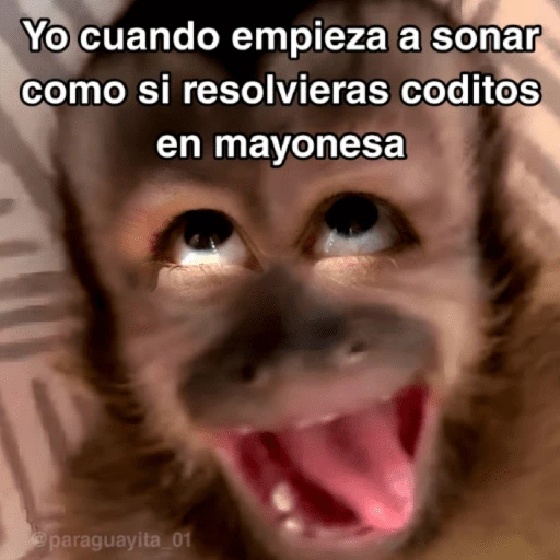stickers_🙊😜🔥_Funny_Monkey_🔥😜🙊_