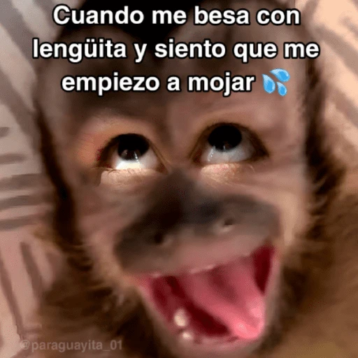stickers_🙊😜🔥_Funny_Monkey_🔥😜🙊_