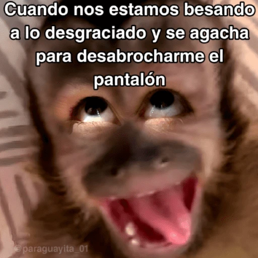stickers_🙊😜🔥_Funny_Monkey_🔥😜🙊_