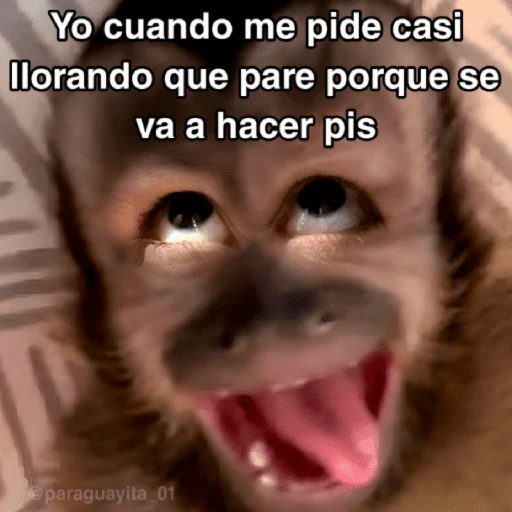 stickers_🙊😜🔥_Funny_Monkey_🔥😜🙊_