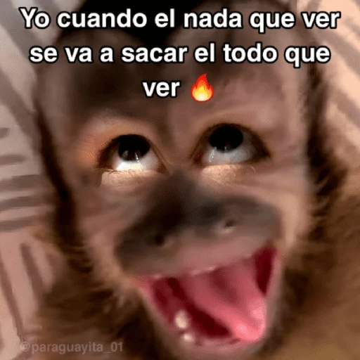 stickers_🙊😜🔥_Funny_Monkey_🔥😜🙊_