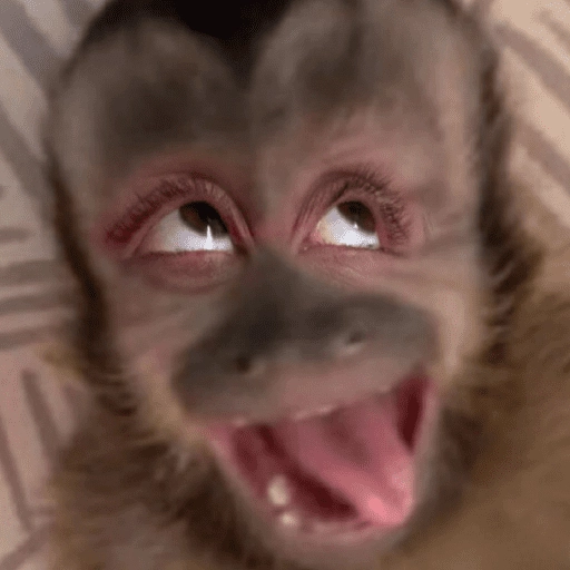stickers_🙊😜🔥_Funny_Monkey_🔥😜🙊_