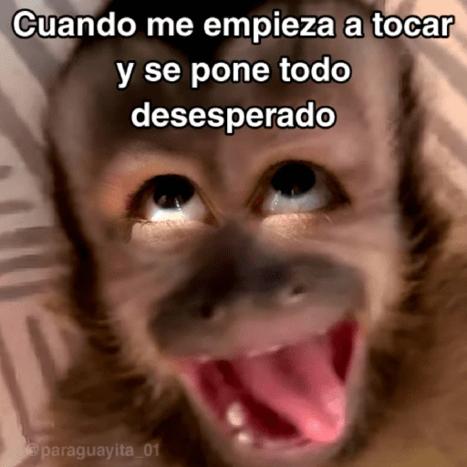 stickers_🙊😜🔥_Funny_Monkey_🔥😜🙊_