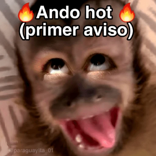 stickers_🙊😜🔥_Funny_Monkey_🔥😜🙊_