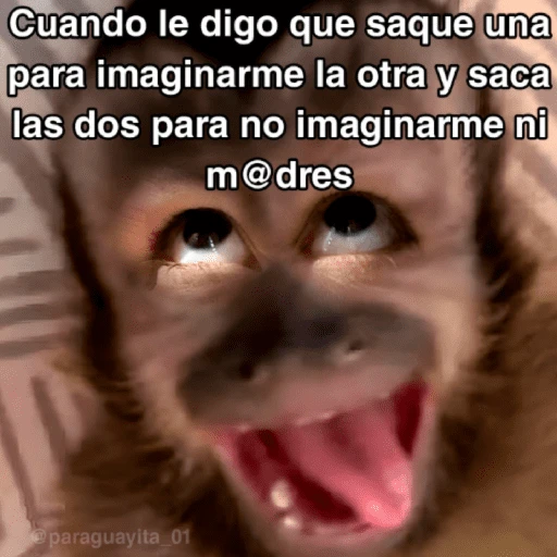stickers_🙊😜🔥_Funny_Monkey_🔥😜🙊_