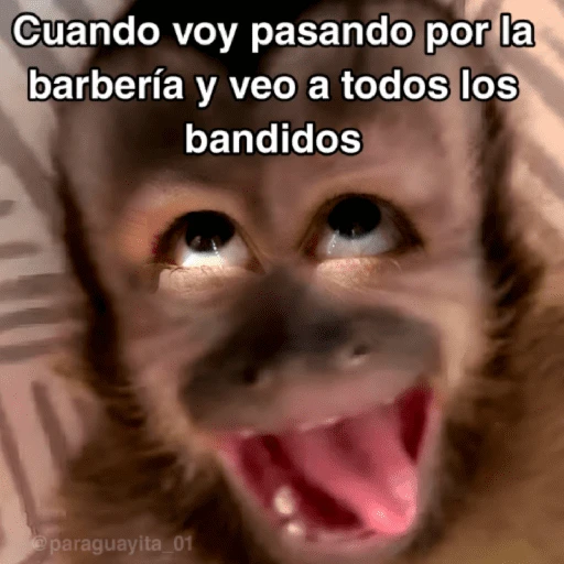 stickers_🙊😜🔥_Funny_Monkey_🔥😜🙊_