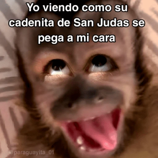 stickers_🙊😜🔥_Funny_Monkey_🔥😜🙊_