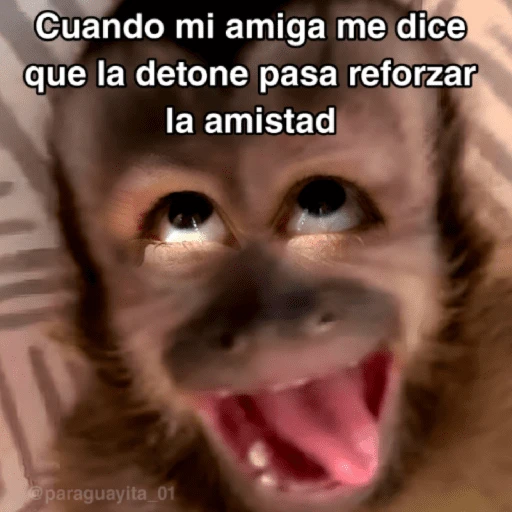 stickers_🙊😜🔥_Funny_Monkey_🔥😜🙊_