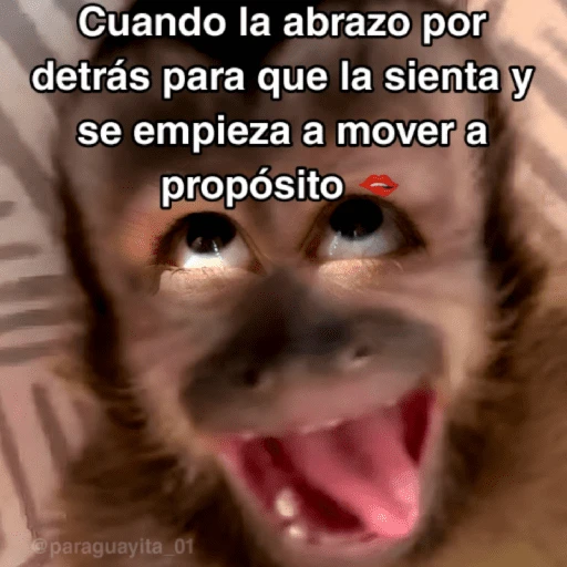 stickers_🙊😜🔥_Funny_Monkey_🔥😜🙊_