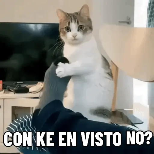 stickers_NO_ME_DEJES_EN_VISTO_✔️✔️😾_