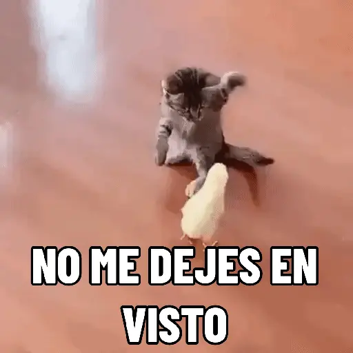 stickers_NO_ME_DEJES_EN_VISTO_✔️✔️😾_