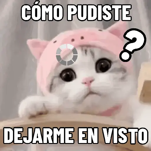 stickers_NO_ME_DEJES_EN_VISTO_✔️✔️😾_