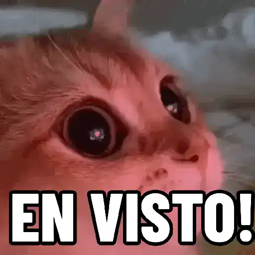 stickers_NO_ME_DEJES_EN_VISTO_✔️✔️😾_