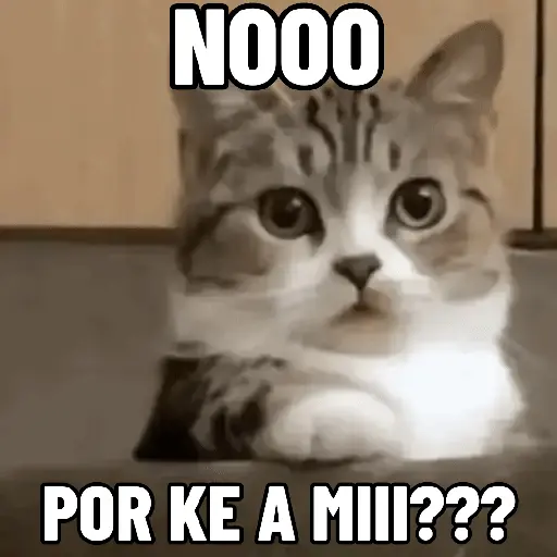 stickers_NO_ME_DEJES_EN_VISTO_✔️✔️😾_