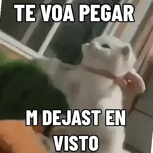 stickers_NO_ME_DEJES_EN_VISTO_✔️✔️😾_