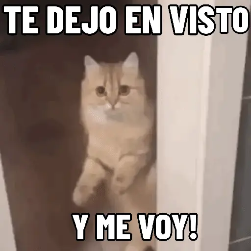stickers_NO_ME_DEJES_EN_VISTO_✔️✔️😾_