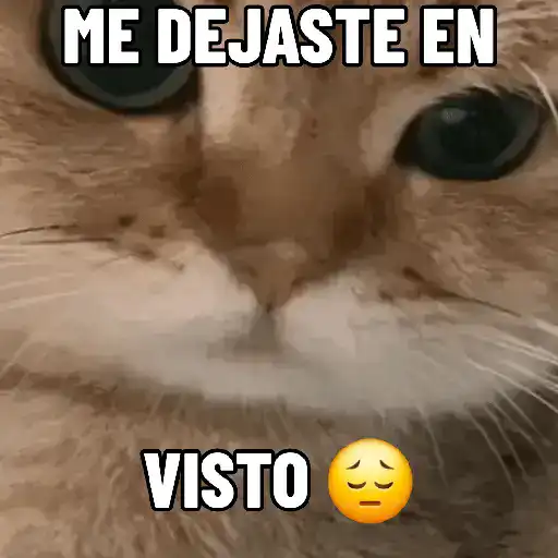 stickers_NO_ME_DEJES_EN_VISTO_✔️✔️😾_
