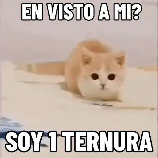 stickers_NO_ME_DEJES_EN_VISTO_✔️✔️😾_